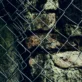 kesalahan umum pada pemasangan wiremesh